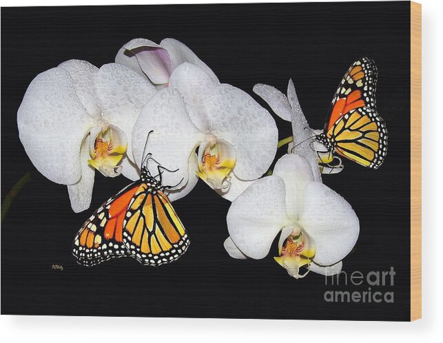  Wood Print featuring the photograph Thirsty Butterflies by Patrick Witz
