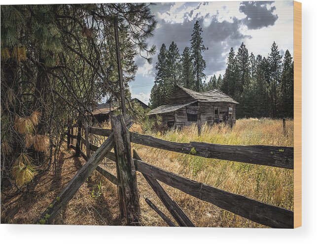 Old House Cabin Homestead Woods Pine Trees Fence Wooden Chicken Coop Spokane Washington Brad Wood Print featuring the photograph Chicken Coop by Brad Stinson