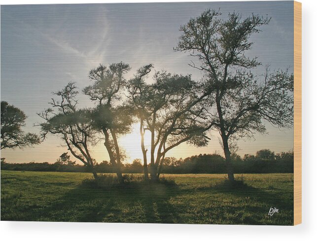 Nature Wood Print featuring the photograph This One Is For You by Phil Mancuso