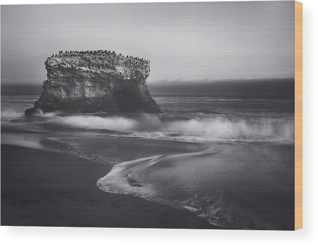 Natural Bridges State Beach Wood Print featuring the photograph Though the Tides May Turn by Laurie Search