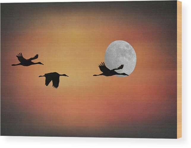 Birds Wood Print featuring the photograph Three Cranes by Jerry Griffin
