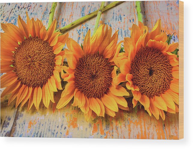 Mood Wood Print featuring the photograph Three Graphic Sunflowers by Garry Gay