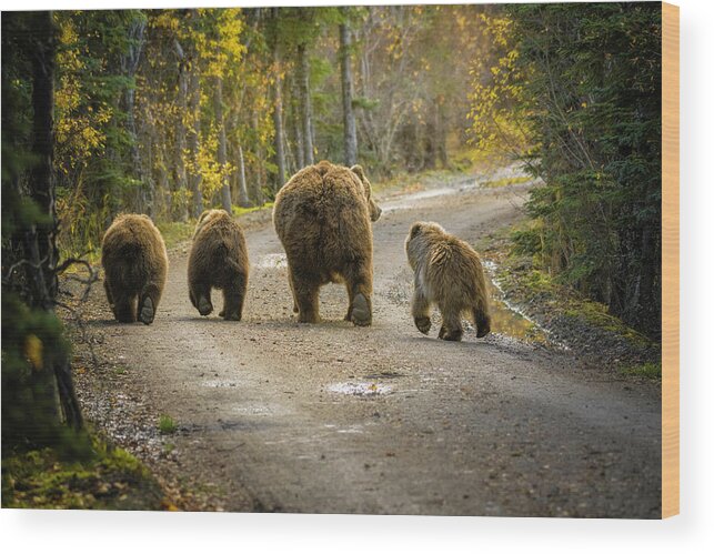 Alaska Wood Print featuring the photograph Bear Bums by Chad Dutson