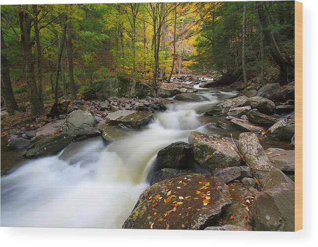 Fall Wood Print featuring the photograph Three Seconds in Fall by Neil Shapiro