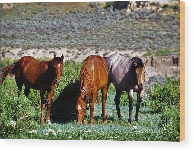 Horses Wood Print featuring the photograph Three Together by Merle Grenz