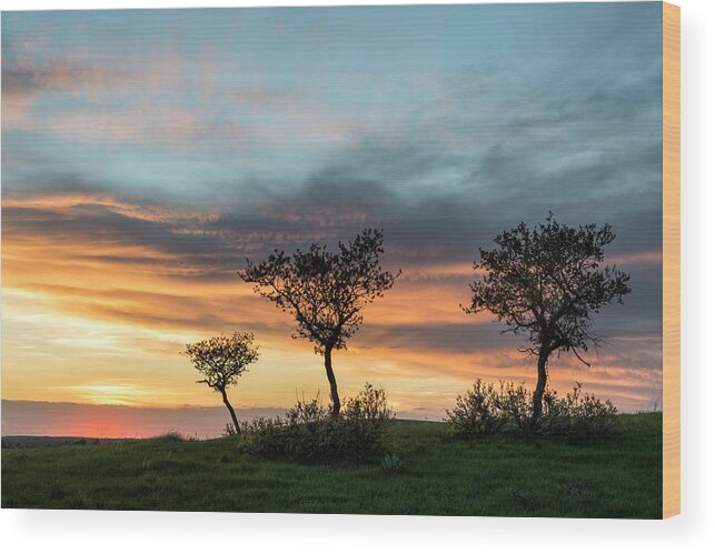 Sunset Wood Print featuring the photograph Three Trees On A Hill by Denise Bush