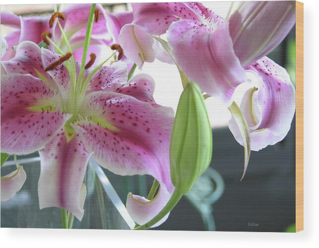 Photography Wood Print featuring the photograph Tiger Lilies by Julianne Felton