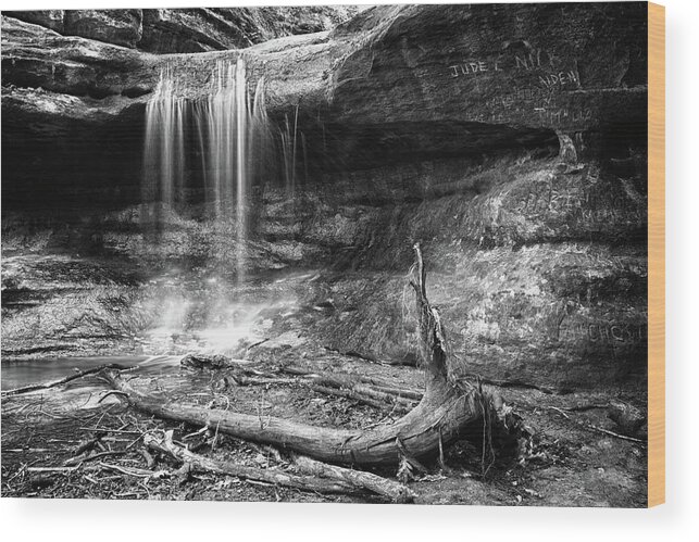 Matthiessen State Park Wood Print featuring the photograph Timber by Jason Wolters
