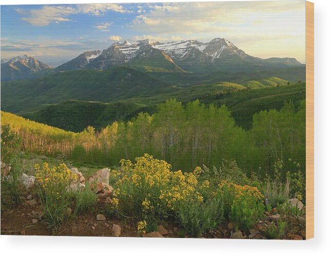 Utah Wood Print featuring the photograph Timpanogos from Mill Canyon Peak by Wasatch Light