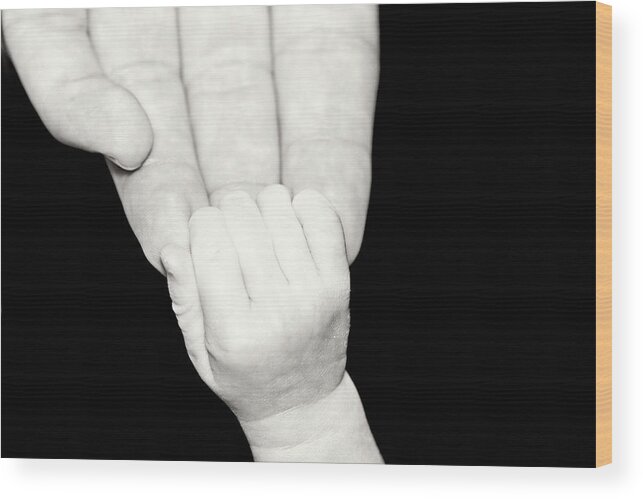 Hands Wood Print featuring the photograph Tiny Grip by Lana Trussell