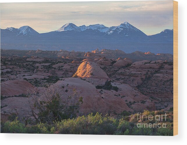 Utah Wood Print featuring the photograph Tips by Jim Garrison