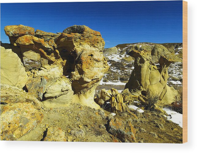 Toad Stool Wood Print featuring the photograph Toad Stools in the Bisti Badlands by Jeff Swan