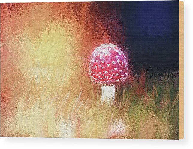 Toadstool Wood Print featuring the photograph Toadstool mind by Jaroslav Buna