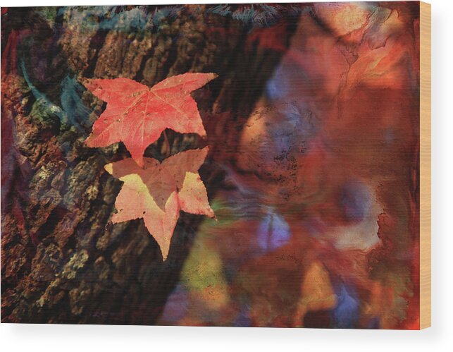 Landscape Wood Print featuring the photograph Together II by Toni Hopper