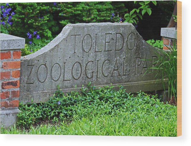 Toledo Wood Print featuring the photograph Toledo Zoological Park by Michiale Schneider