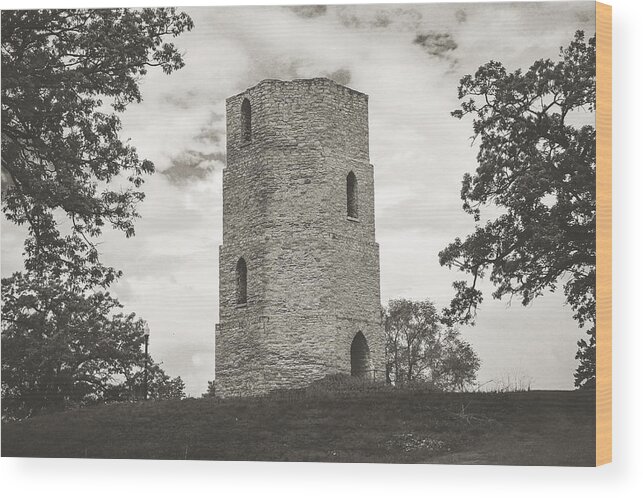 Beloit Historical Stone Water Tower Rock County Wisconsin History Art Landscape Fine City Love Life Beauty Beautiful Rich Community Wood Print featuring the photograph Top of the Hill by Viviana Nadowski