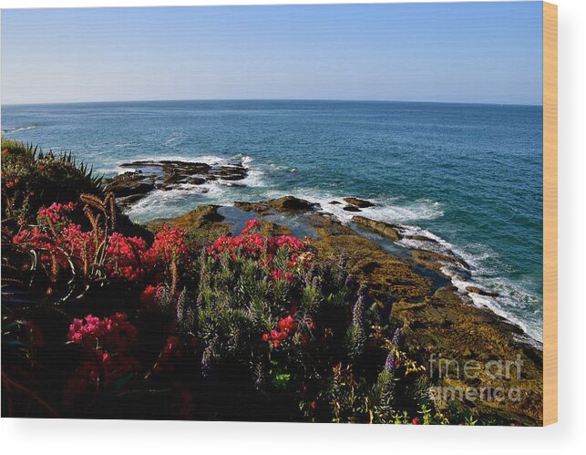 Ocean Vista Wood Print featuring the photograph Top of the World by Johanne Peale