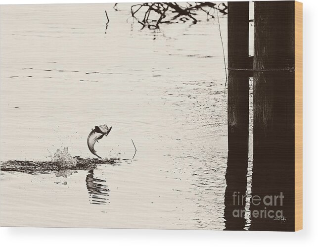 Top Water Explosion Wood Print featuring the photograph Top Water Explosion - vintage tone by Scott Pellegrin