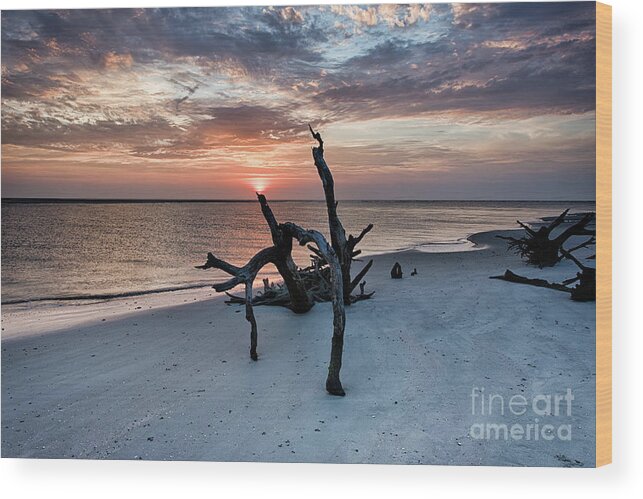 Torch Wood Print featuring the photograph Torch by Robert Loe