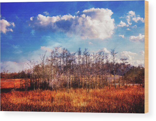 Clouds Wood Print featuring the photograph Touch of Autumn in the Glades by Debra and Dave Vanderlaan