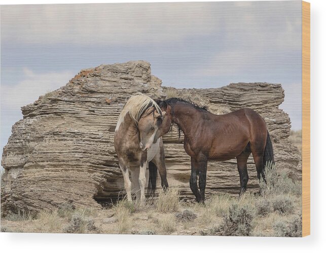 Mustangs Wood Print featuring the photograph Touching Moment by Ronnie And Frances Howard