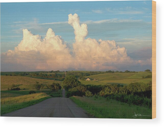 Agriculture Wood Print featuring the photograph Towering Trouble by Jim Bunstock