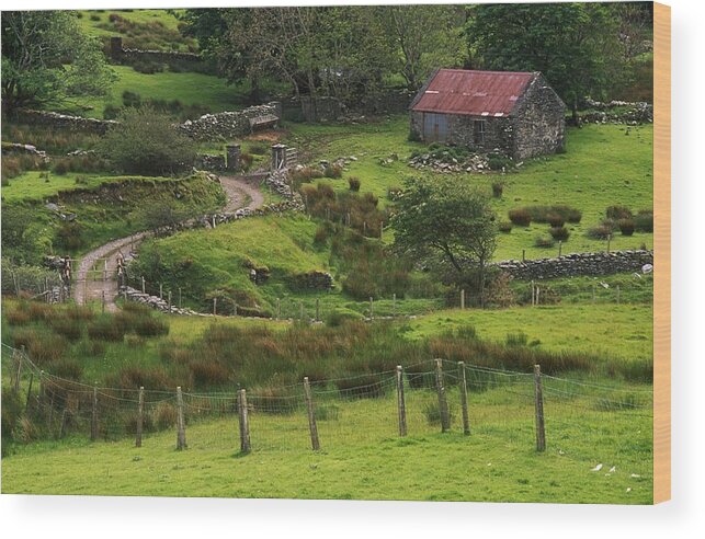 Color Image Wood Print featuring the photograph Traditional Cottages, Dan Oharas by The Irish Image Collection 