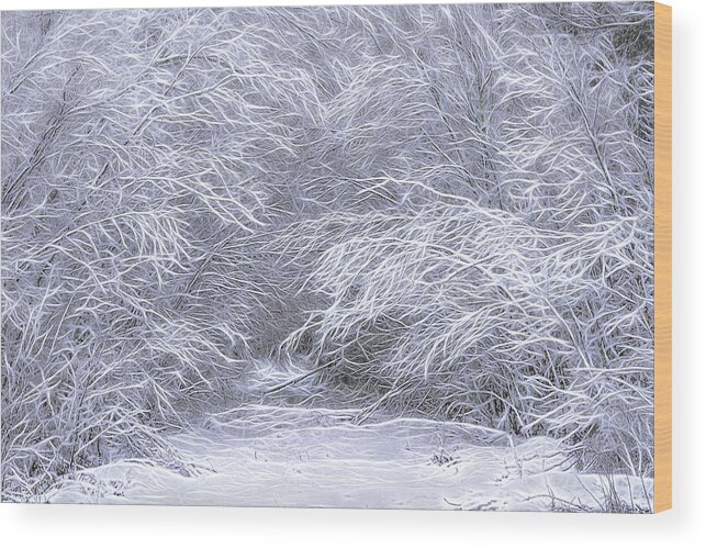 Trailhead Snowscape Wood Print featuring the photograph Trailhead Snowscape by Marty Saccone