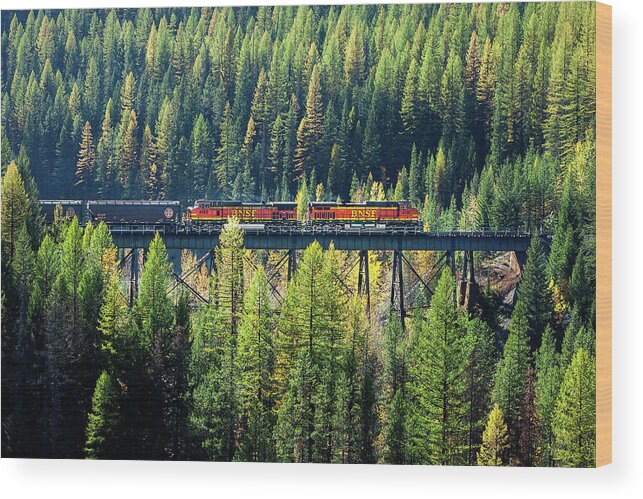 Locomotive Wood Print featuring the photograph Train Coming Through by Todd Klassy