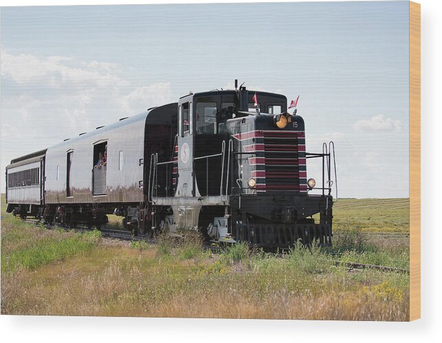 Car Wood Print featuring the photograph Train Tour by David Buhler