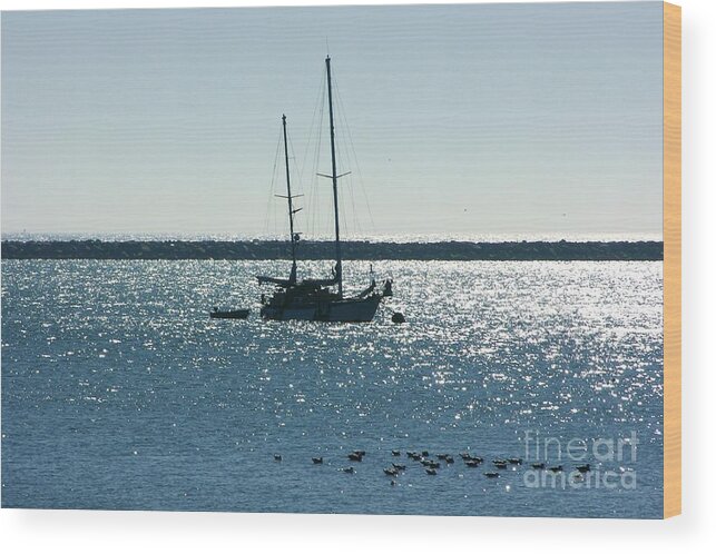 Seascape Wood Print featuring the photograph Tranquil Bay by Carol Groenen