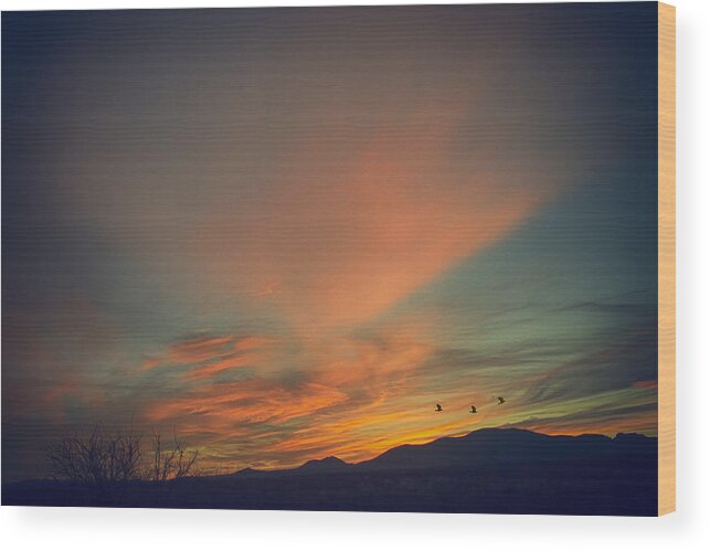 Skies Wood Print featuring the photograph Tranquil Sunset by Barbara Manis