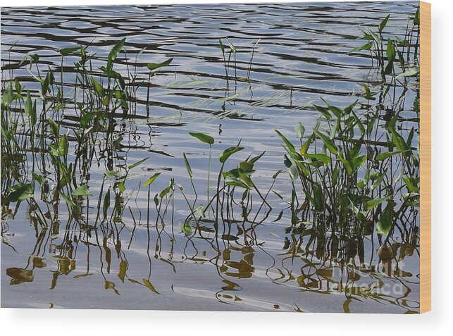 Water Wood Print featuring the photograph Tranquility by Barrie Stark
