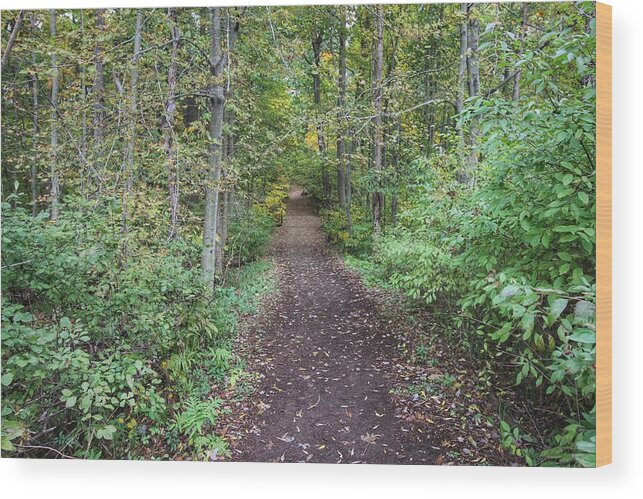 Tranquil Wood Print featuring the photograph Tranquility by Jackson Pearson