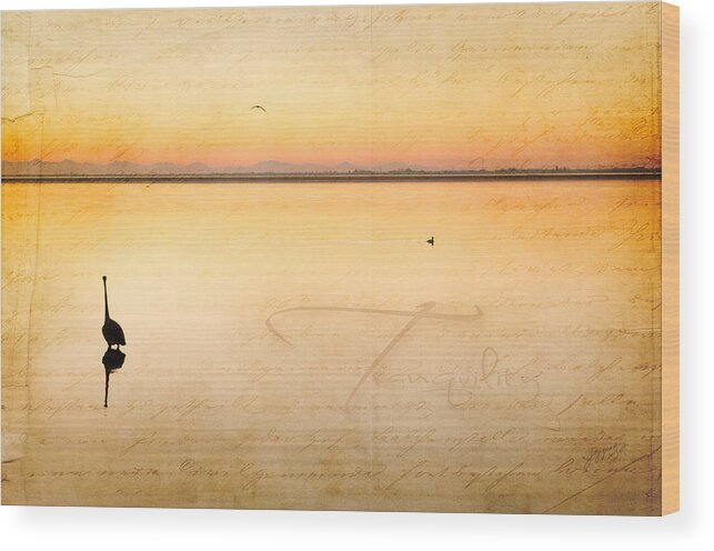 Crescent Beach Wood Print featuring the photograph Tranquility by Joy Gerow