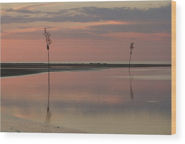 Cape Cod Wood Print featuring the photograph Tranquility by Patrice Zinck
