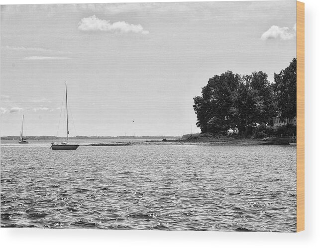 B&w Wood Print featuring the photograph Tranquillity by Ingrid Dendievel