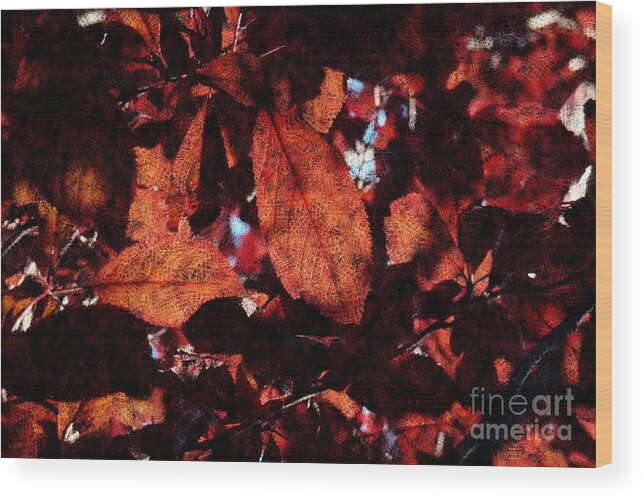 Abstract Wood Print featuring the photograph Transparence 15 by Jean Bernard Roussilhe
