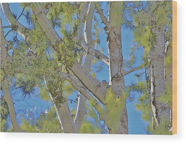 Linda Brody Wood Print featuring the photograph Tree Bright by Linda Brody