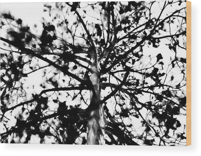 Tree Wood Print featuring the photograph Tree of Fae by Gina O'Brien