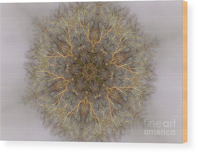 Mandala Wood Print featuring the digital art Tree of Life by Geraldine DeBoer