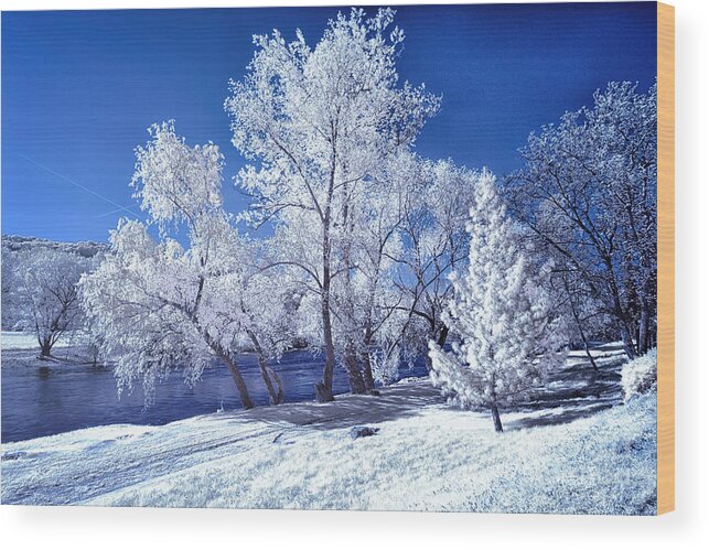 Infrared Photography Wood Print featuring the photograph Trees Along the Krka by Norman Gabitzsch