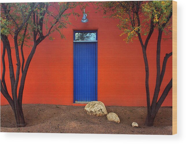 Door Wood Print featuring the photograph Trees and Door - Barrio Historico - Tucson by Nikolyn McDonald