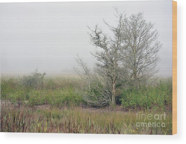 Fall Wood Print featuring the digital art Trees in Fog by Dianne Morgado