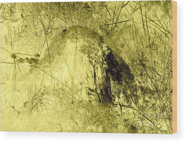 Nature Wood Print featuring the photograph Trigger by MJG Products and photo gallery