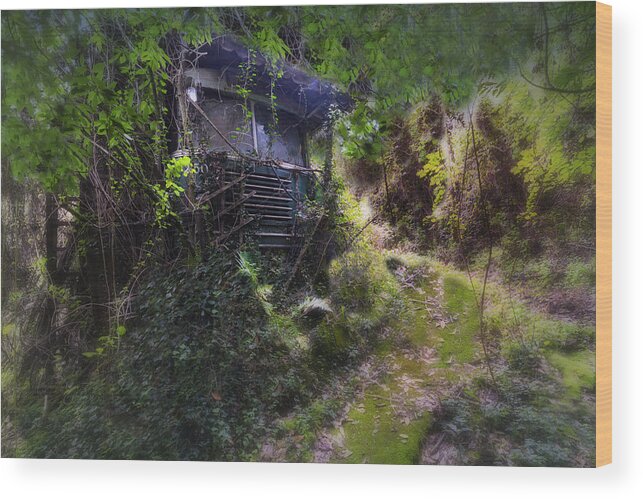 Filobus Wood Print featuring the photograph Trolley Bus Into The Jungle by Enrico Pelos