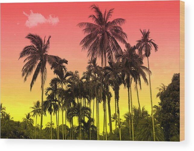  Wood Print featuring the photograph Tropical 9 by Mark Ashkenazi