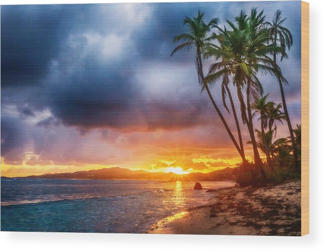 Pristine Wood Print featuring the photograph Tropical Sunrise by Amanda Jones