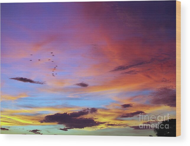 Inspiring Wood Print featuring the photograph Tropical North Queensland Sunset Splendor by Kerryn Madsen-Pietsch