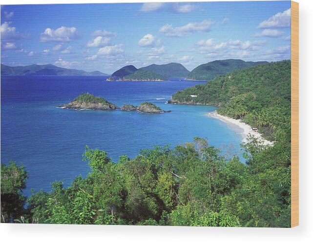 Trunk Bay Wood Print featuring the photograph Trunk Bay 5 by Pauline Walsh Jacobson